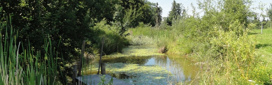 Biohof Frohberg